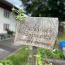 Spielgruppe-Garten  (1).jpeg
