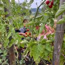 Spielgruppe-Garten  (2).jpeg